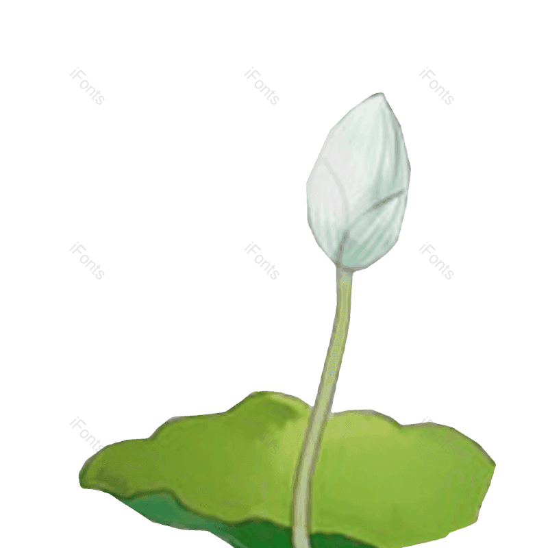 夏至图片,荷花元素,夏天PNG,花卉免抠素材